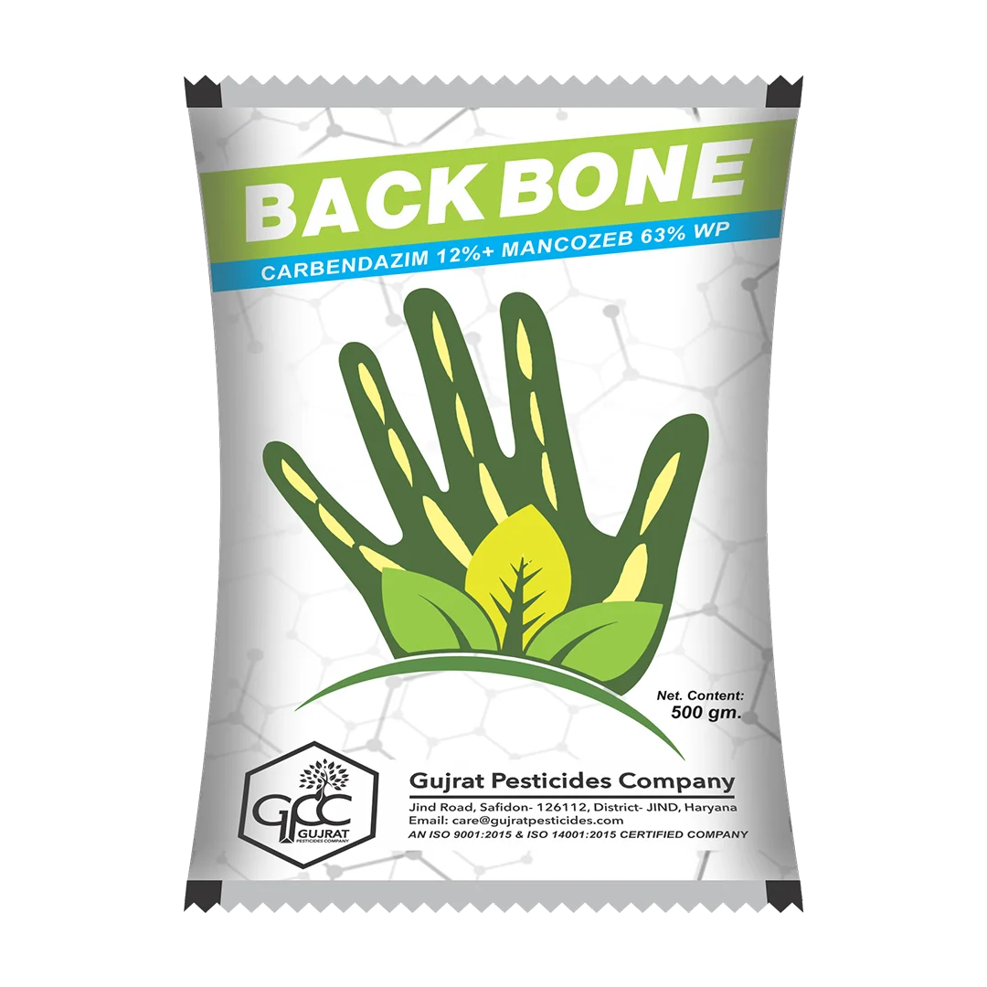 BACKBONE 500GM